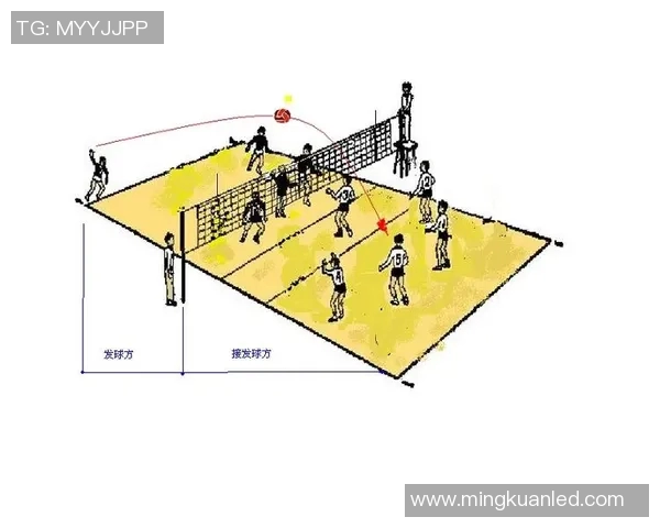 重庆排球队反击战术解析与比赛得失总结