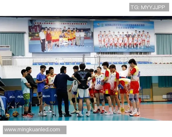 全国锦标赛回顾：成都排球队速度优势助力夺冠之路